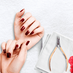 Stainless Steel Cuticle Nipper with Square Plier Head  (HN-041)