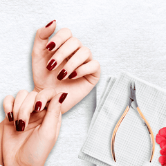 Stainless Steel Cuticle Nipper with Square Plier Head  (HN-041)