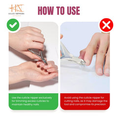 Stainless Steel Cuticle Nipper with Square Plier Head (HN-061)