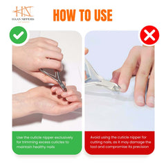 Stainless Steel Cuticle Nipper with Square Plier Head  (HN-041)