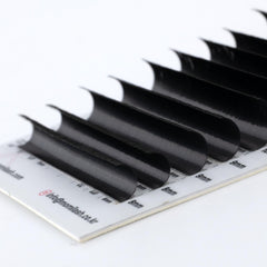 MOMI CC-Curl Premium CASHMERE Lash Eyelash Extensions (Mixed Size 8~15mm, 16 Lines)