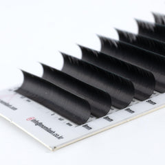 MOMI D-Curl Premium Mink Lash Eyelash Extensions (Mixed Size 8~15mm, 16 Lines)