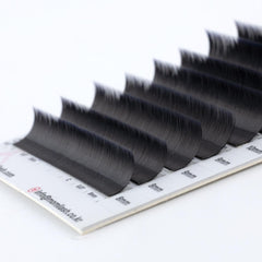 MOMI C-Curl Premium Silk Lash Eyelash Extensions (Mixed Size 8~15mm, 16 Lines)