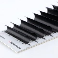 MOMI CC-Curl Premium Silk Lash Eyelash Extensions (Mixed Size 8~15mm, 16 Lines)