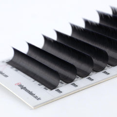 MOMI D-Curl Premium Silk Lash Eyelash Extensions (Mixed Size 8~15mm, 16 Lines)