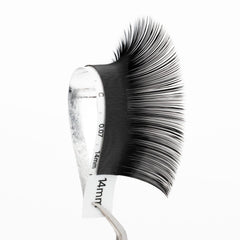 MOMI C-Curl Premium CASHMERE Lash Eyelash Extensions (Mixed Size 8~15mm, 16 Lines)