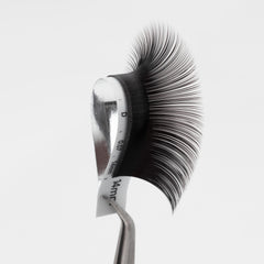 MOMI D-Curl Premium CASHMERE Lash Eyelash Extensions (Mixed Size 8~15mm, 16 Lines)