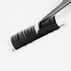 MOMI D-Curl Premium CASHMERE Lash Eyelash Extensions (Mixed Size 8~15mm, 16 Lines)